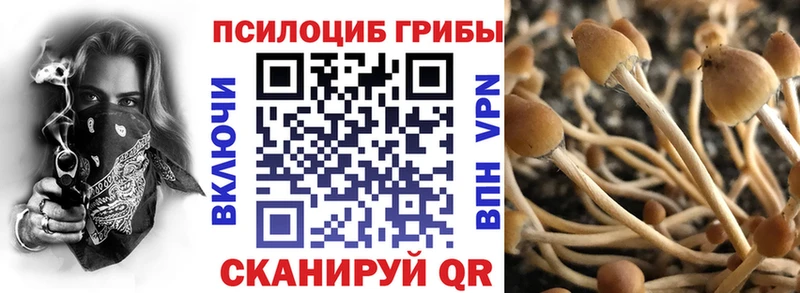 Галлюциногенные грибы Magic Shrooms  хочу   мега   Екатеринбург 